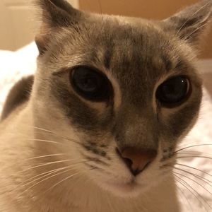 Meet your Posher, Ann